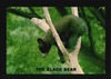 8 images